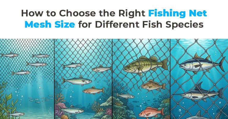 Premium fishing nets